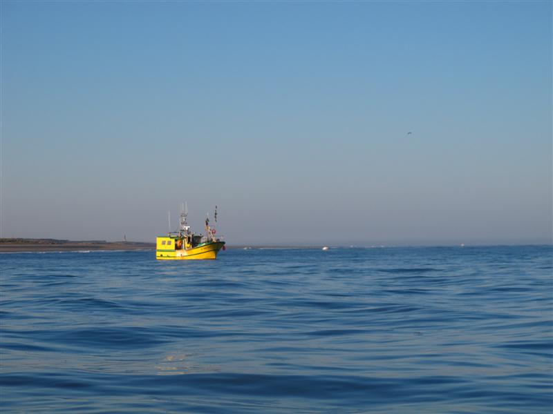 bateau jaune